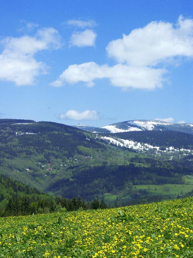 Wellness Hotel V Nebi Kořenov Buitenkant foto